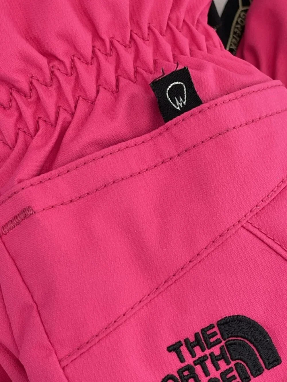 The North Face brand north
